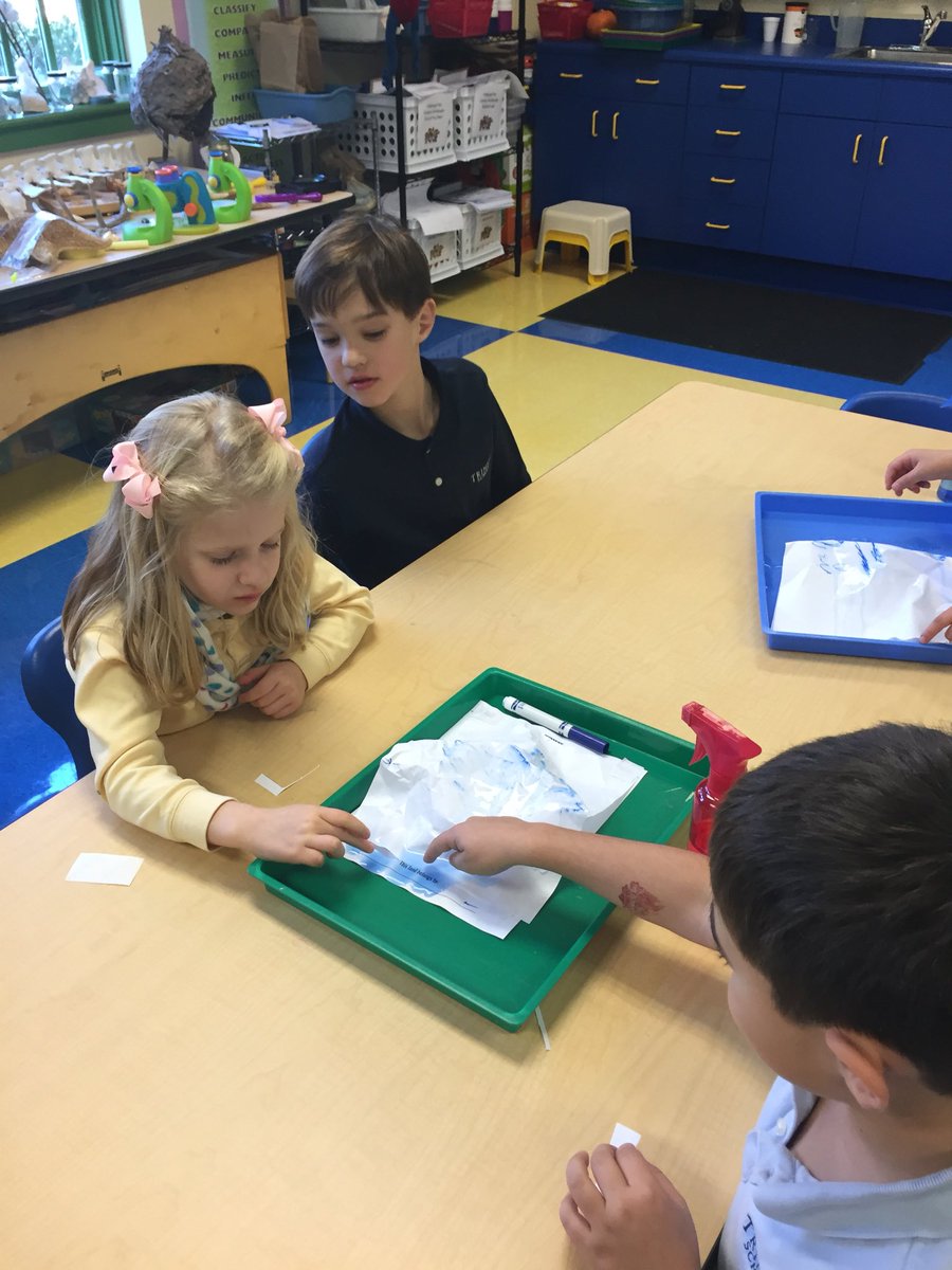 laurenkane_ILC's tweet image. Why do rivers flow? Learning about our watershed thanks to @MysterySci #Trinitylearns @AdamsStew1st