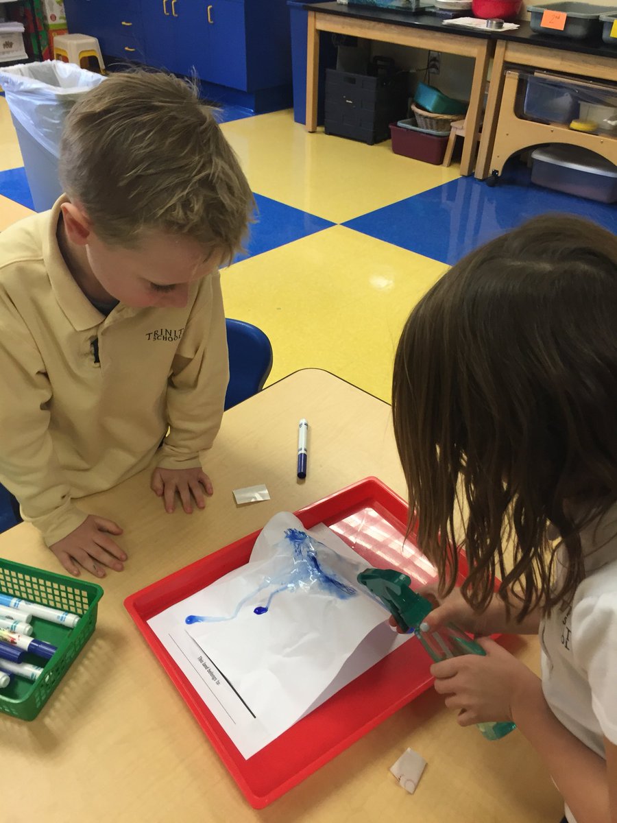 laurenkane_ILC's tweet image. Why do rivers flow? Learning about our watershed thanks to @MysterySci #Trinitylearns @AdamsStew1st