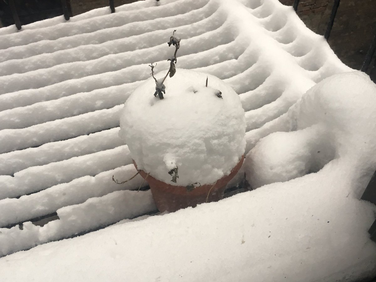 kae_mart's tweet photo. survived 2017 like

#bombcyclone #blizzard2018 https://t.co/UaRDxbGUYM