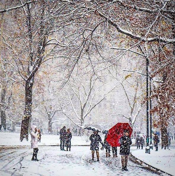 RinconesNY's tweet photo. Central Park ahora mismo 🌨🗽😍
Es una sensación muy emocionante pasear por le parque mientras está nevando ❄️☃️🎿 https://t.co/NlnuRFejqE