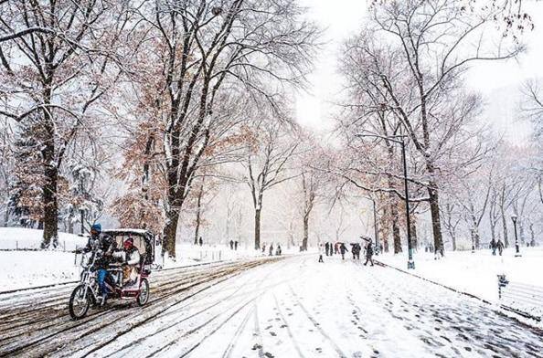 RinconesNY's tweet photo. Central Park ahora mismo 🌨🗽😍
Es una sensación muy emocionante pasear por le parque mientras está nevando ❄️☃️🎿 https://t.co/NlnuRFejqE