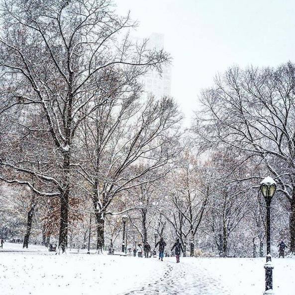 RinconesNY's tweet photo. Central Park ahora mismo 🌨🗽😍
Es una sensación muy emocionante pasear por le parque mientras está nevando ❄️☃️🎿 https://t.co/NlnuRFejqE