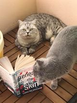 CazEngland's tweet photo. ✨🎉 #WIN #WIN! 🎉✨HOTEL Chocolat £15 Gift Card #giveaway to celebrate the NEW YEAR and an AMAZING 112 #reviews of #BeneathTheSkin!🎉✨ To enter re-tweet this post or share the pinned post on my Facebook author page. For more info see https://t.co/cZxATeaHx4 https://t.co/O3PR82DfmU