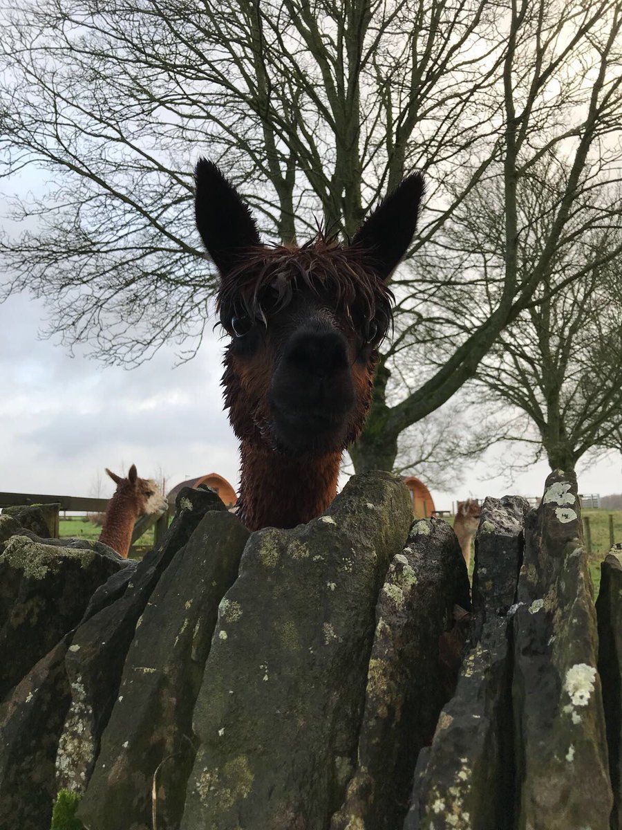 Notgrove Holidays tweet media