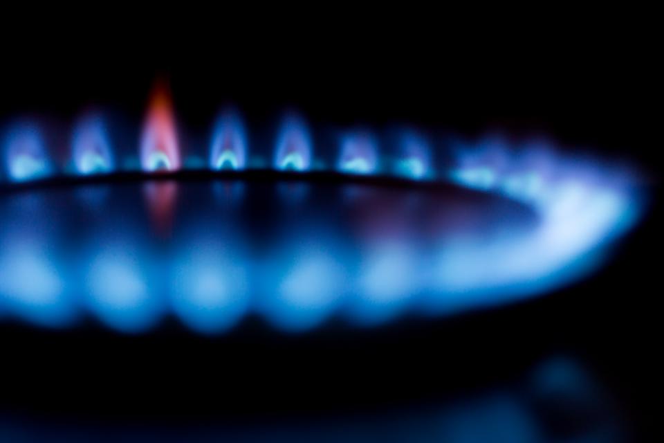 newcastle_gas's tweet photo. Happy new year! Is it time for a new boiler? Contact us today to see if you qualify for a FREE BOILER upgrade. https://t.co/1d95VvFjUq

 #freeboiler #ecoboilergrant #keepwarm https://t.co/iKyesNDVHT