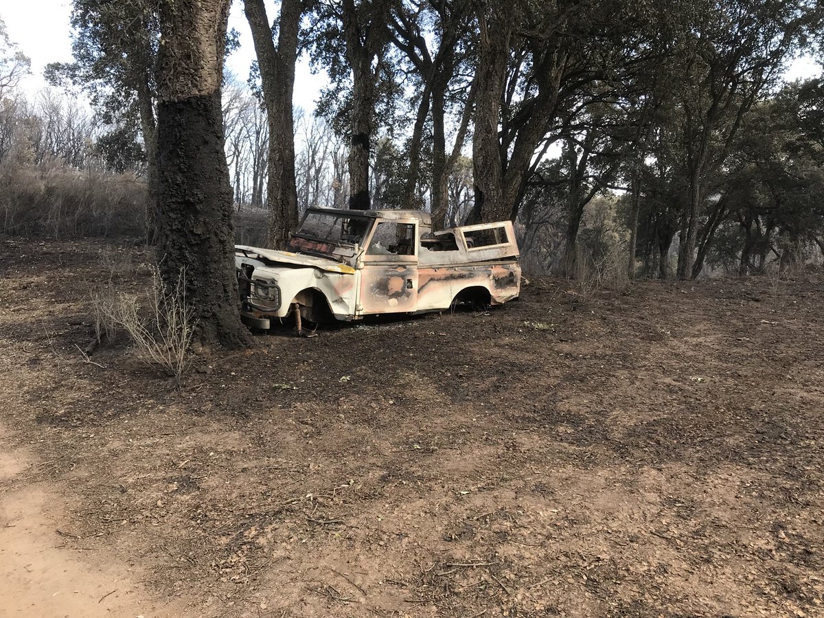 MarchettiSte's tweet photo. Dop’à u focu ci ferma un panorama distruttu. Ma soprattuttu ci ferma una terra, pronta ad’accoglie torna vita è sumente ! U focu ci face vede dinù u mullizzu lasciatu da qualch’omi senza mente corsa. Fratelli è Surelle di a nostra terra ci vole à agisce ogni ghjornu.
#Isulacciu https://t.co/MbhgMw5gMR