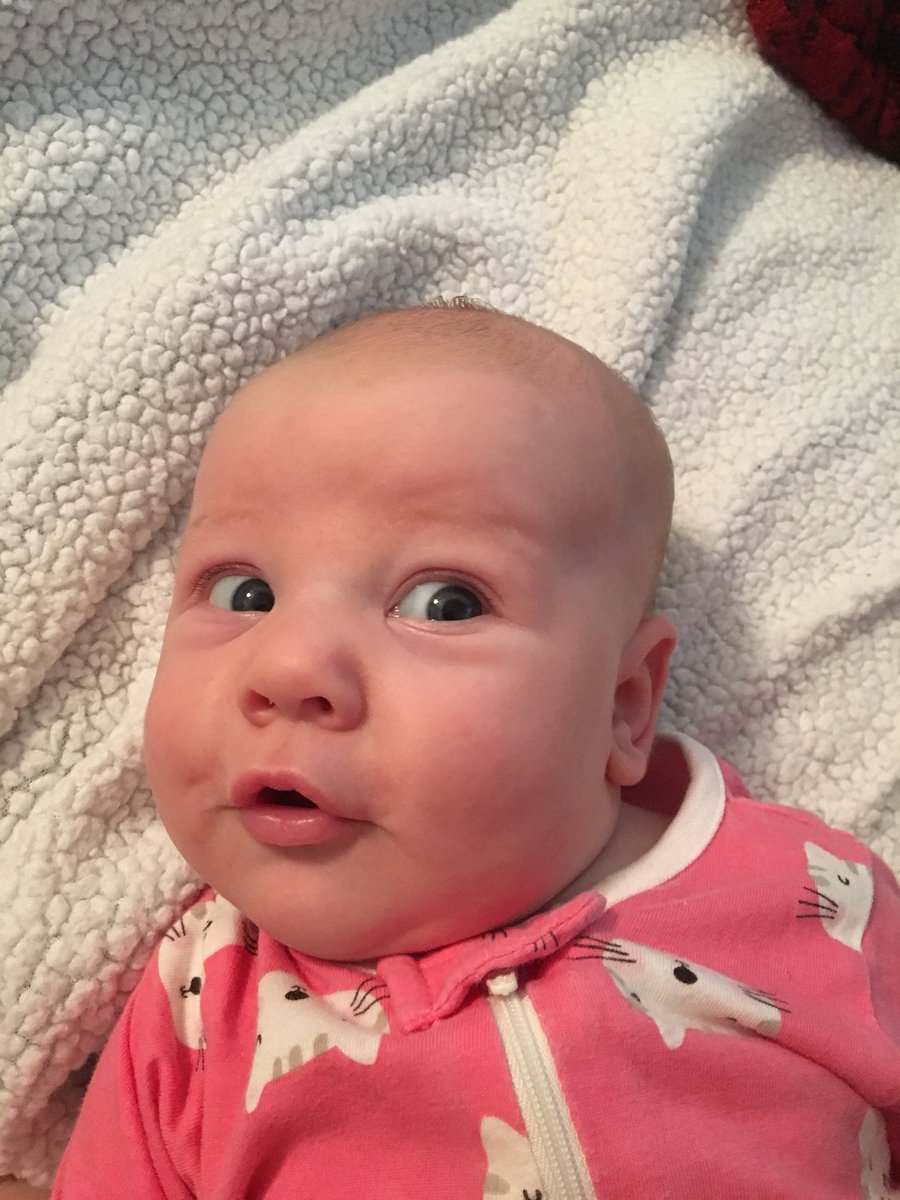 starrmoongalaxy's tweet photo. Already can’t contain all the personality in my 8 week old. She’s lucky she’s so adorable 💖 https://t.co/w9t79lceEI