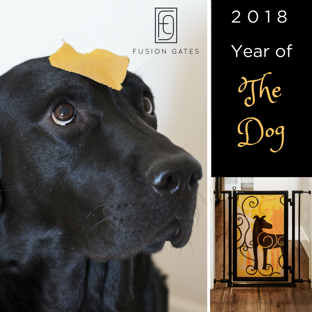 Yes!!!! #dogs #doglovers #blacklabrador #labrador #pets #PetSafety