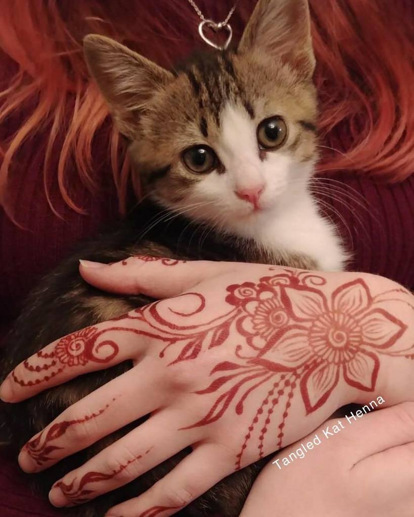 katbrouse's tweet photo. I mean... 😍😍😍 #Henna #hennatattoo #hennadesign #hennainspire #hennafun #hennaartist #hennahand #hennaparty #hennabodyart #mehndi #mehndidesign #mehndiart #mehndilove #mehndiparty #mehndinight #baltimore #maryland #marylandartist #baltimoreartist #baltimorehenna #marylandhenn… https://t.co/sdmWTEY1eC