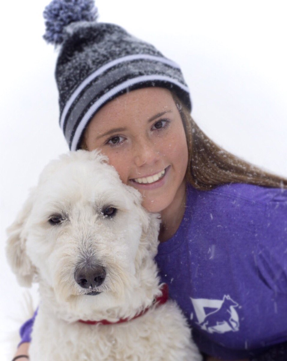 shopdiligentdog's tweet photo. Stuck home in the snow? Stay warm and cozy in our long sleeves! Going out to shovel? Check out our new sweatshirt available for preorder today!  
https://t.co/K1WTl3bpvD https://t.co/pgkqH4w1tE