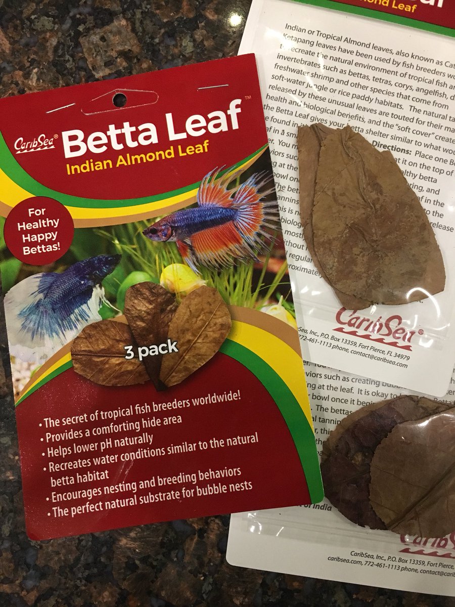 FGFlow's tweet image. Have you ever tried almond leaves in your tanks? We love these mini sized ones for bettas or other microfiche from @CaribSea