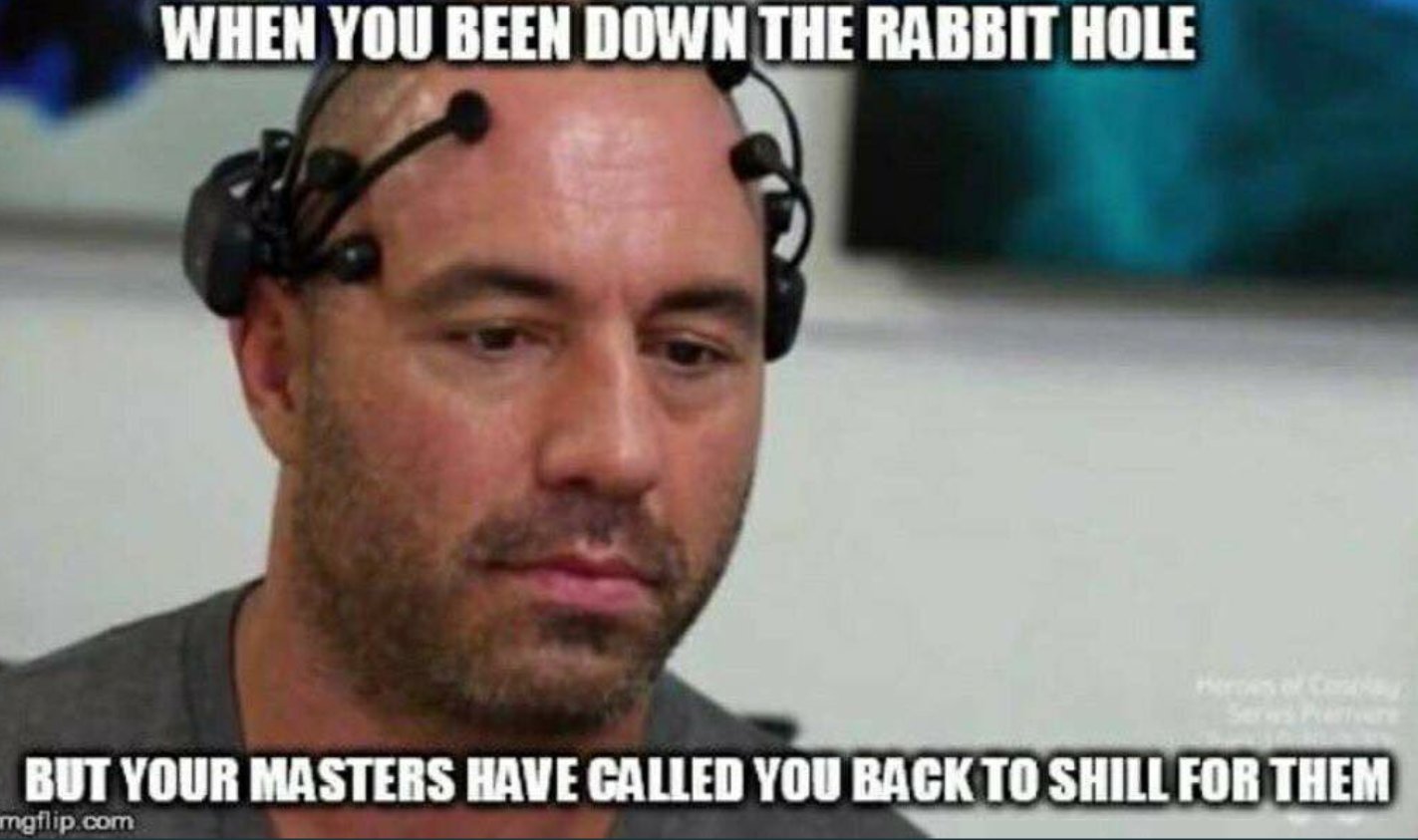 joe rogan hair meme