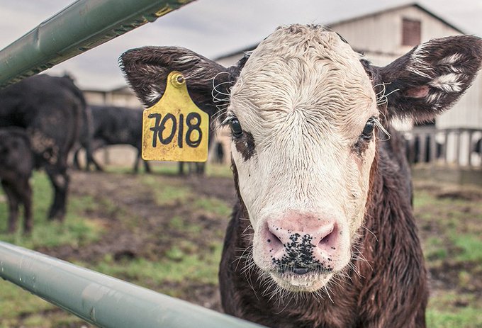 View image on Twitter View image on Twitter