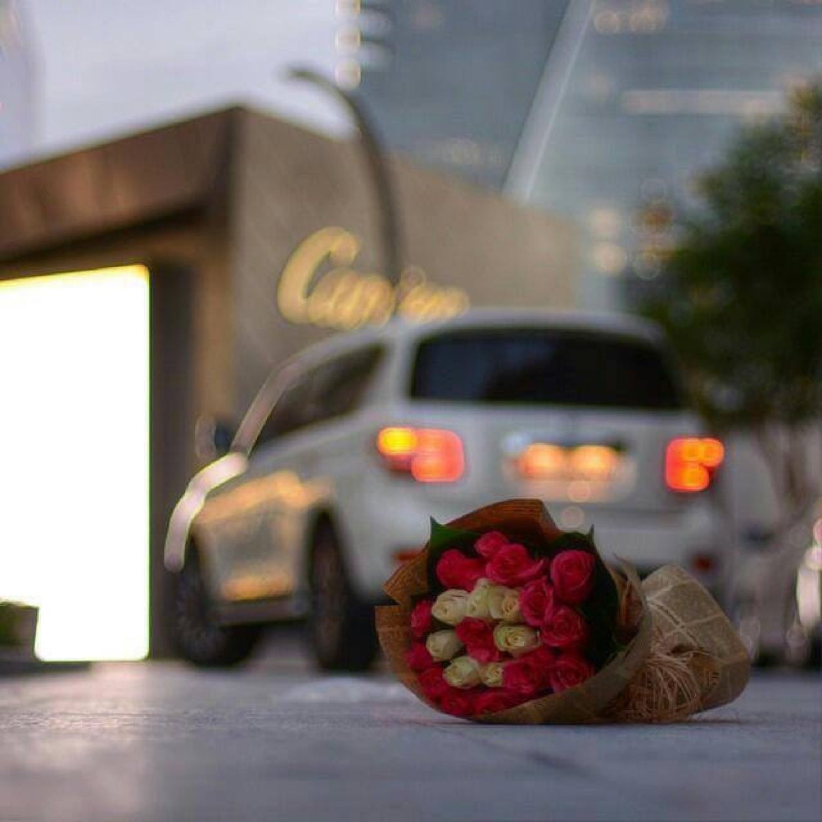 hamss126's tweet photo. لآتشغل آلبآل في هآلنآس وتفكر
مآنت بوكيل على آلنآس وموآقفھَآ. https://t.co/UWRUGK1kDS