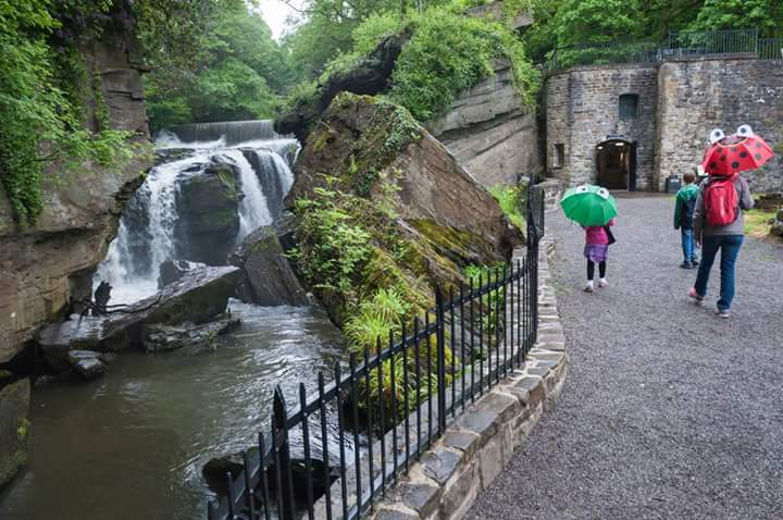 Why not blow away the cobwebs this weekend and enjoy the outdoors.

Throughout January we're open every Saturday and Sunday, 10:30am - 3pm. 
(Last admission 2:30pm) 

And don't forget, every time you visit us, you're helping to keep Aberdulais special. Thank you.