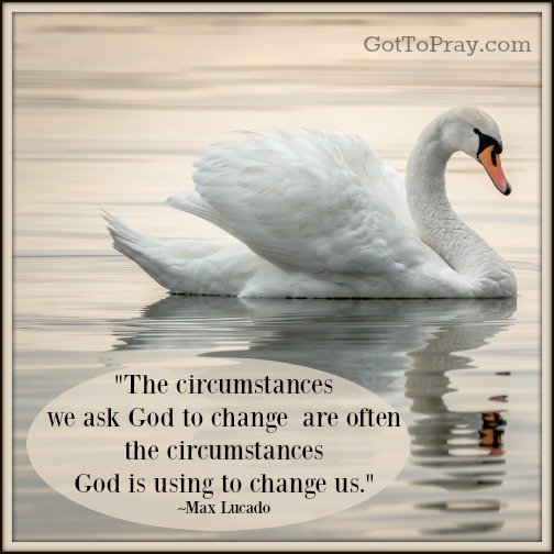AWSA's tweet photo. "The circumstances we ask God to change are often the circumstances God is using to change us." - Max Lucado https://t.co/PyGpUJv7ui