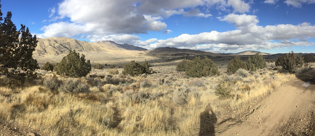 Jason_Mattick's tweet photo. 15 min jog out my office door puts me here. #wideopenspaces #ColdSprings #runbreak #trailrun #getoutside #NorthernNV #stillenjoyingbreak https://t.co/wQFEVntrXX