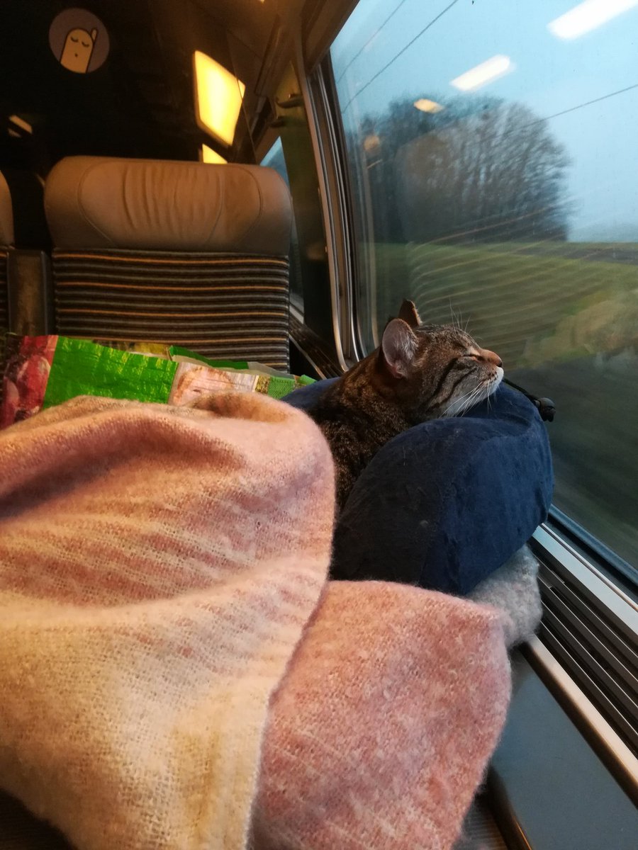 Piadzo's tweet photo. @Max_Destination Je compatis. 8 h de train avec retard. #enfer https://t.co/II1Ye5flp9