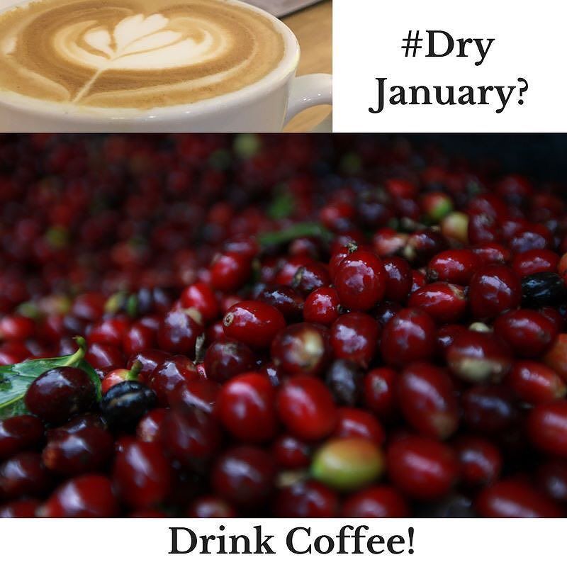 OwensCoffee's tweet photo. Coffee is good for you! #dryjanuary #coffee #organic #roastedlocally https://t.co/NkggEZ3GCH https://t.co/IXWhv4LQKh