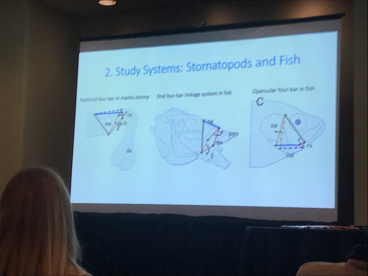 Dr. Brooke Bodensteiner tweet media