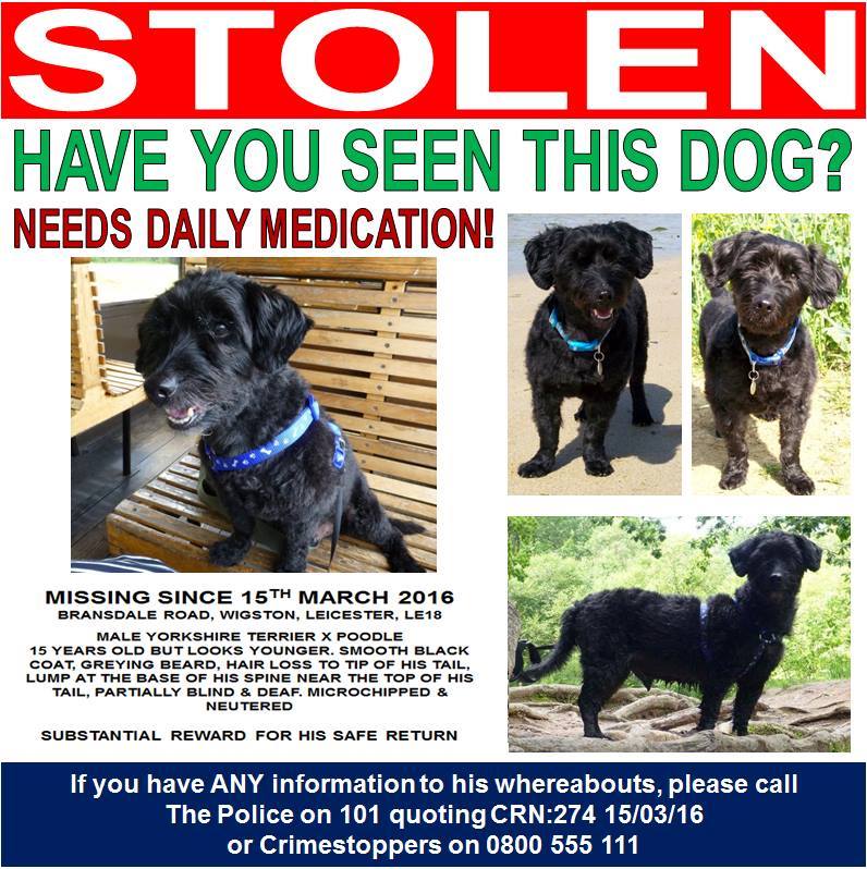 #findpippin #stolen elderly dog.A male was seen previously staring through owners window on other occassions.Neighbourhood seems to be keeping quiet as regards to name of male.CCTV shows a known local man but yet no one is willing to name him,why?Go to pippins fb page for info