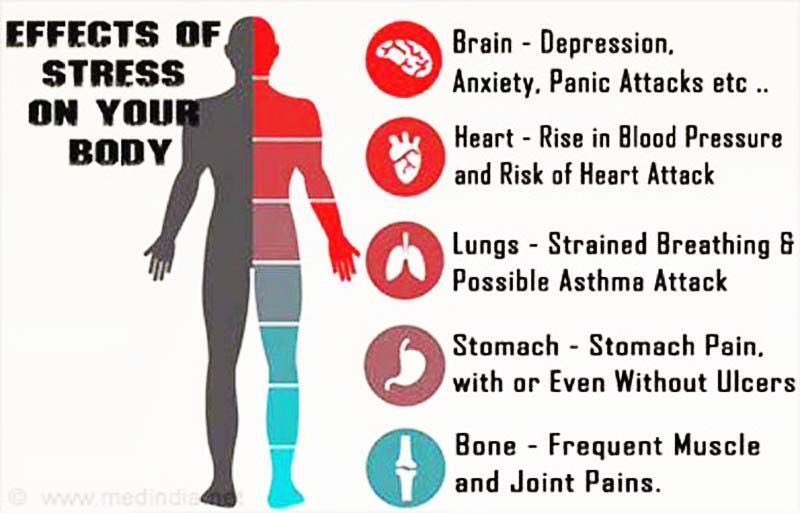 Dr Lin Kooi Ong On Twitter The Effect Of Chronic stress And Stress Dr lin kooi ong on twitter the effect of chronic stress and stress