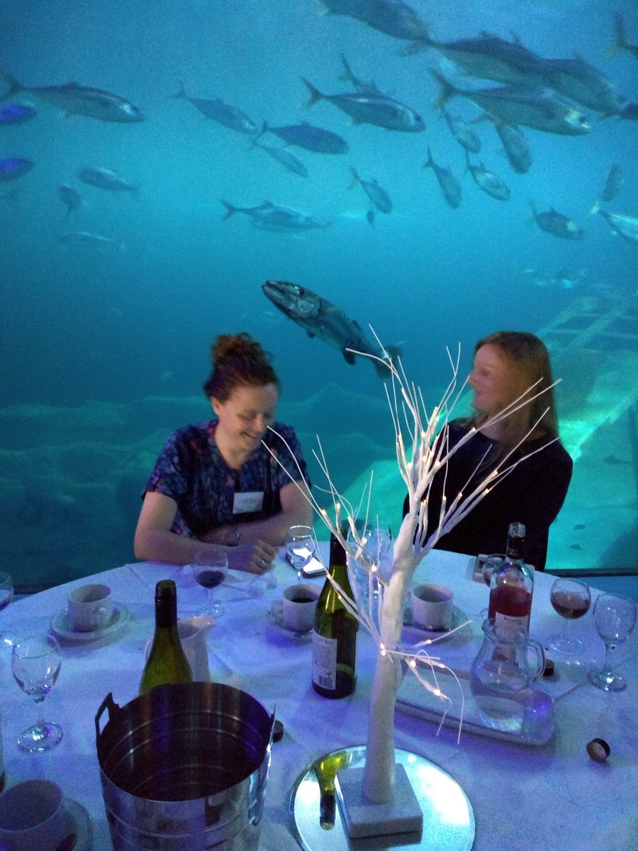 QRA2018's tweet photo. @NMAPlymouth is such a cool venue for a conference dinner! Thanks to all of our delegates for another fantastic day; we hope you're having a great time with us @PlymGeog! 😁🦈🐠 #QRA2018 https://t.co/p6sO3w1Avs