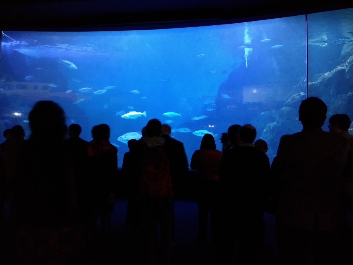 QRA2018's tweet photo. @NMAPlymouth is such a cool venue for a conference dinner! Thanks to all of our delegates for another fantastic day; we hope you're having a great time with us @PlymGeog! 😁🦈🐠 #QRA2018 https://t.co/p6sO3w1Avs