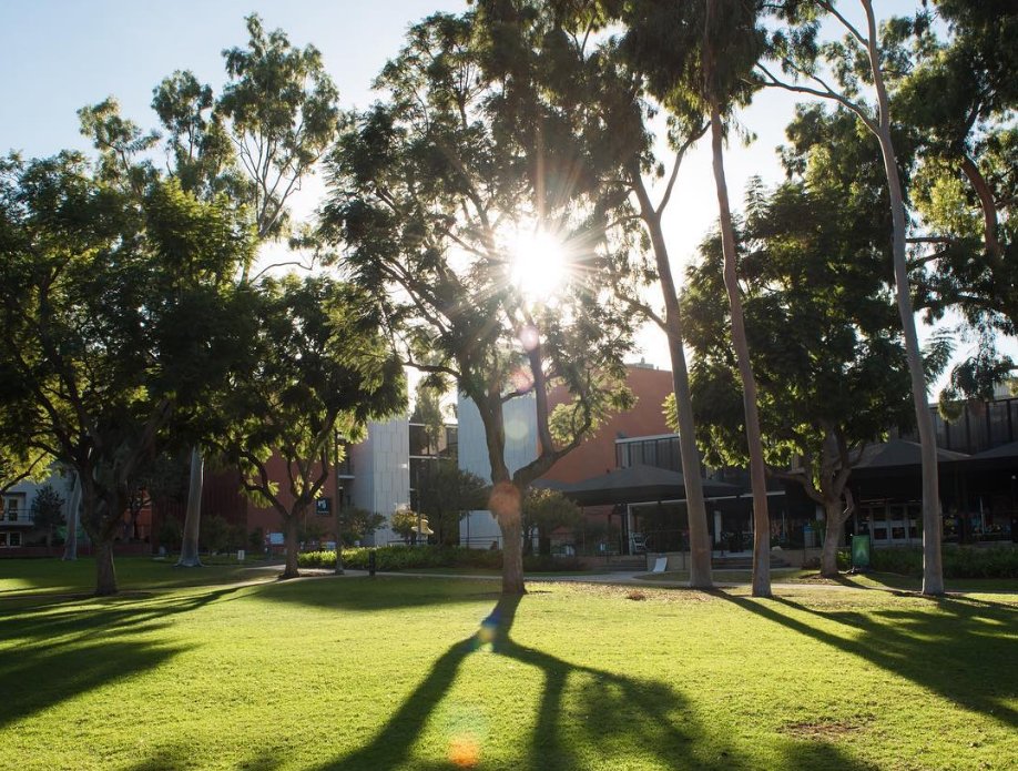 CSULBMammalLab's tweet photo. Our frigid 73 degree CA winter day is par for the course during #blizzard2018 and the #cyclonebomb (#CycloneBomb2018)! Can the #CSULB Vertebrate Museum Collections participate in #museumsnowballfight too? We're pretty immune since most snowballs would melt before hitting us! :D https://t.co/QWeEJ1wDom