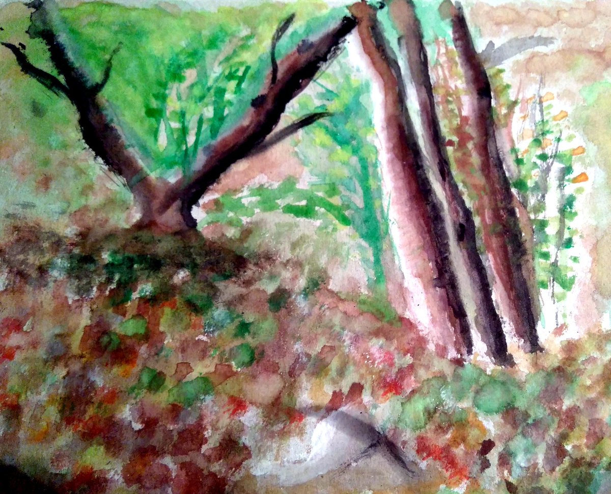 lallu89's tweet photo. Alberi ..#Nature #green #Trees #love #Painting #giovedi #Art #Ciproviamo #Sardegna #Paradiso #Parco #Sassari #Ispiration #parcodiMonserrato #ri https://t.co/K3roGgIE5D