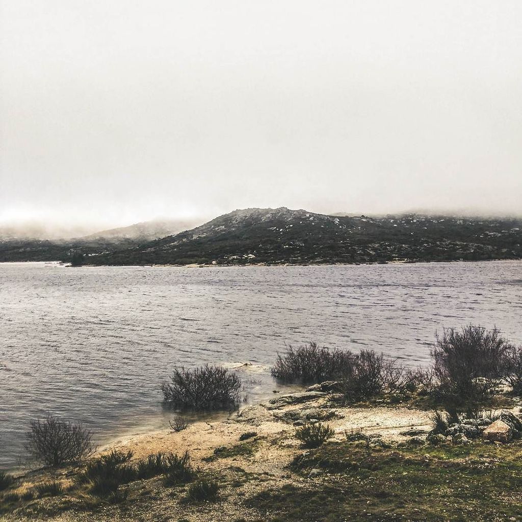 ImSandroGarcia's tweet photo. Somewhere deep in Serra da Estrela... #stayandwander #photooftheday #vscocam. #love #instagood #instamood #beautiful #instadaily #photographyislife #myfeatureshoot #p3top #ig_myshot #photographylover #xposuremag #icatching #like #photo #exclusive_shots #ig_great_pics #ig_mys… https://t.co/LD4uR1LbHY