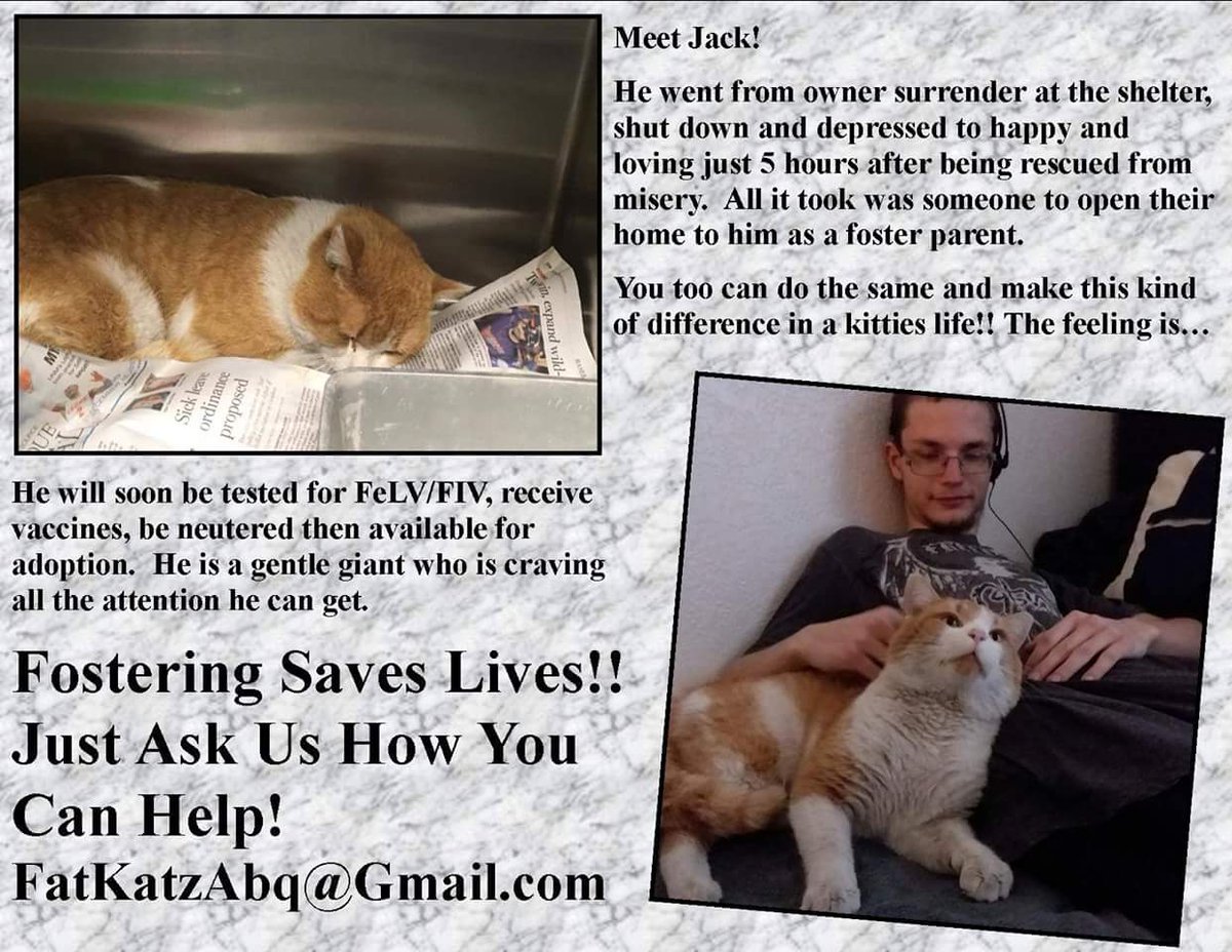 FatKatzAbq's tweet photo. MEET JACK ❤❤❤ https://t.co/WF5lczo3lU