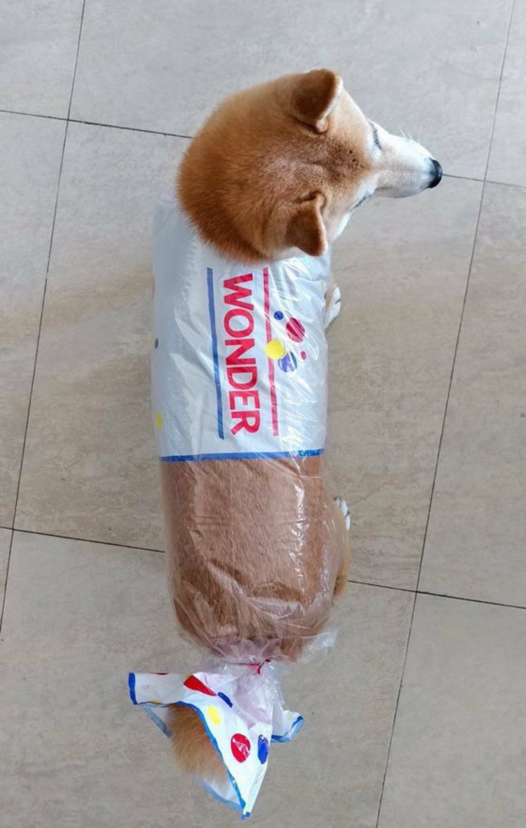 CorlisCool2's tweet photo. Open for a surprise https://t.co/jP3FUyLc0U