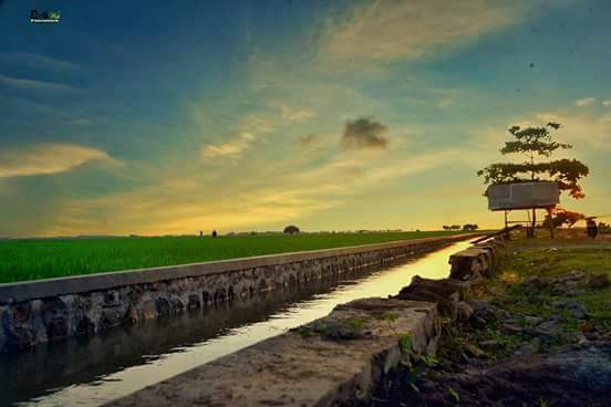 kec_sindang's tweet photo. RT @indramayukab: Tata irigasi Yg baik,  salah satu penjamin @kotaindramayu jadi penyuplai beras Nasional dan Jabar 
Lok : Irigasi Pecuk 
Pict By : Amin Real https://t.co/WB6d5VS72y