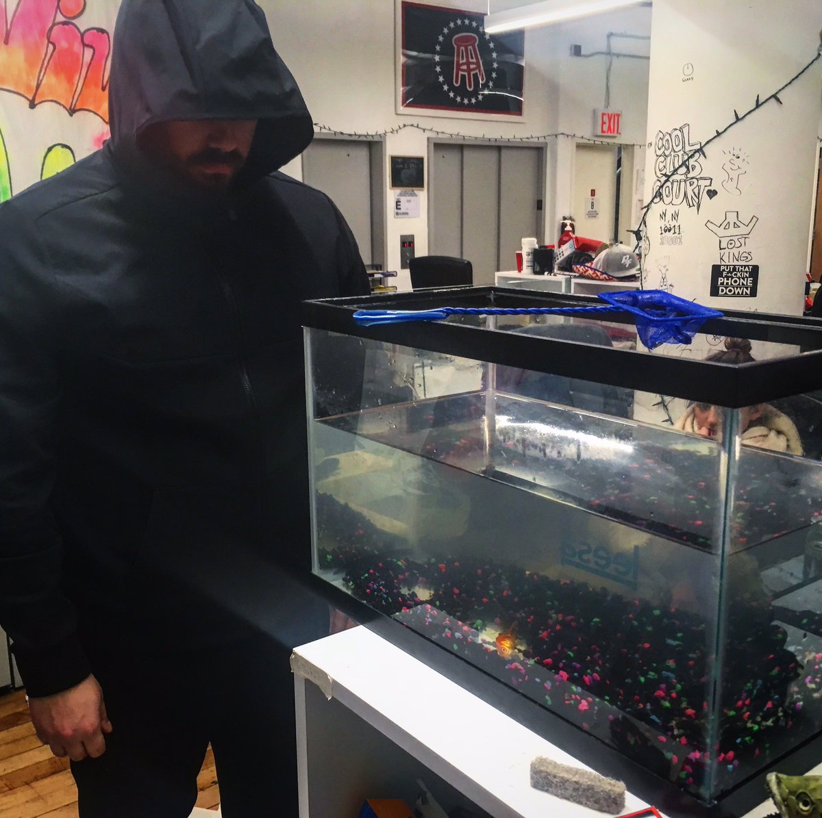 It is with a heavy heart that we must announce our beloved Gambling Goldfish Larry V has passed away #RIPIP