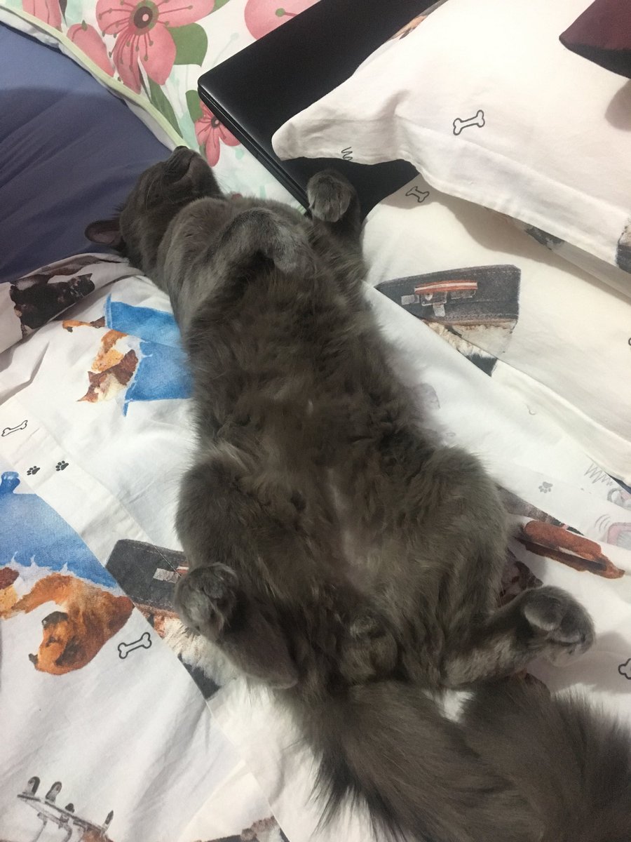 Keety___'s tweet photo. indo dormir / 5 min dps https://t.co/5uzivHDHEF