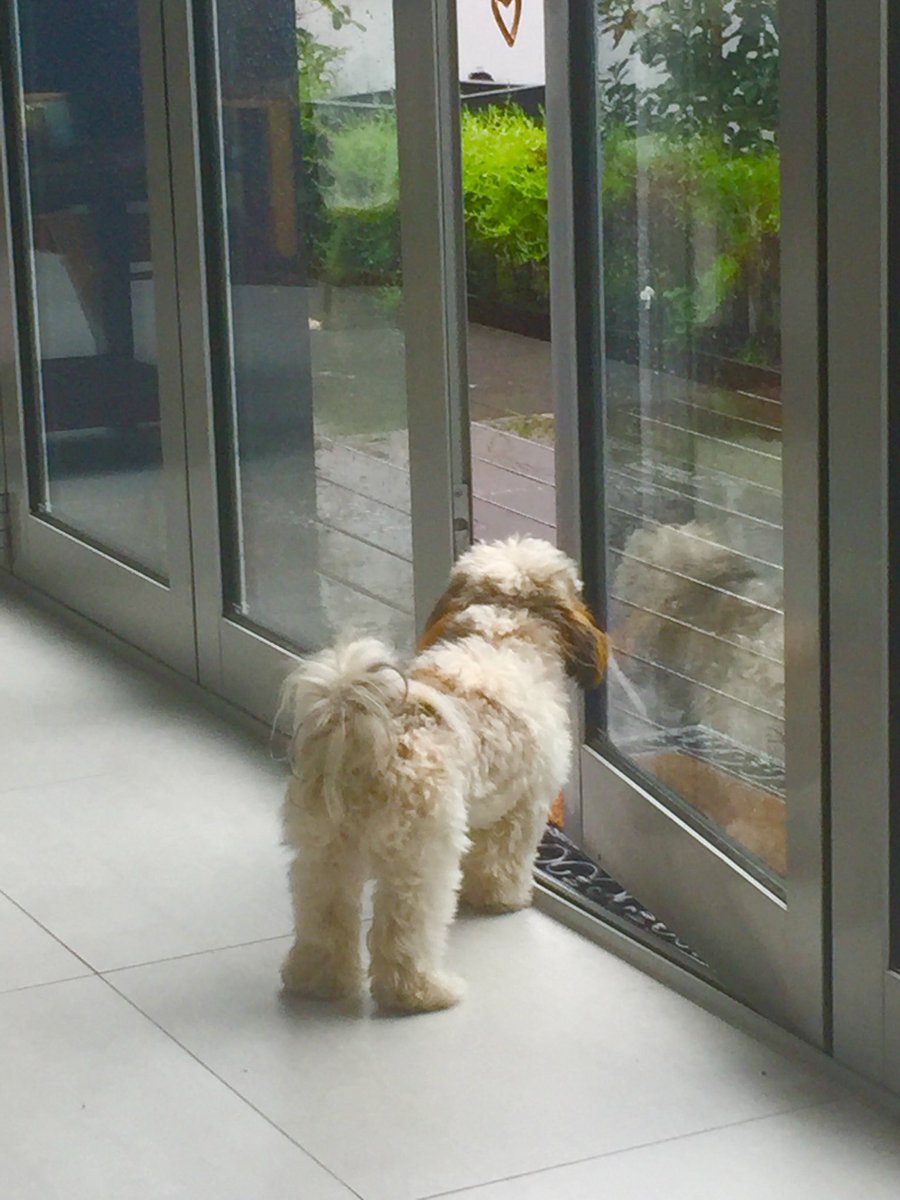 dalzella's tweet photo. When your on hols but it’s rainy #piperdee #wanakamemories https://t.co/vTzIvDSZDq