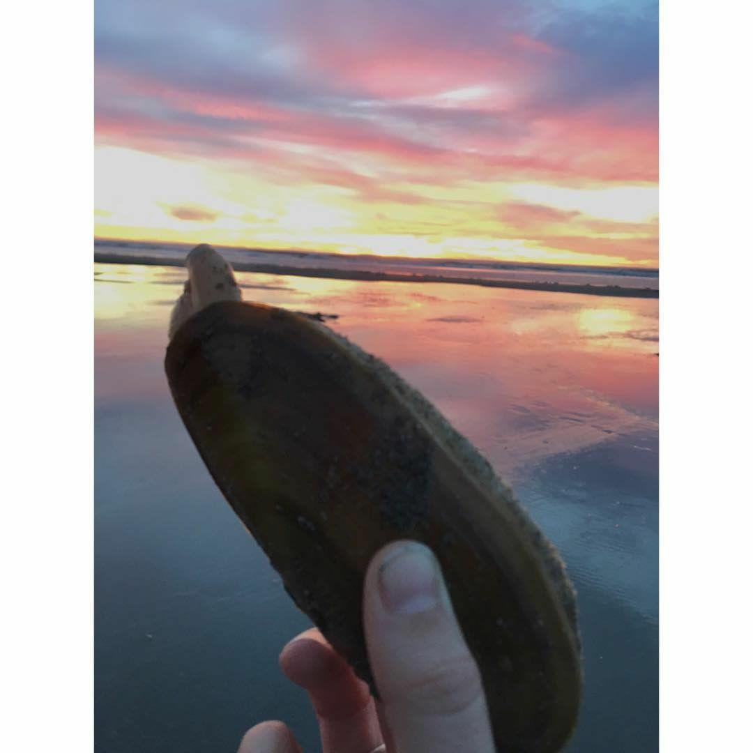 TheDailyNailon's tweet photo. #FishRap: Listening to Steely Dad Down by the River
+ New Years razor clam stats, rumors of winter steelhead, wet waterfowl hunts & a #powderheads report
https://t.co/sjKwpRNxZx #outdoors #huntwa https://t.co/YXZSUlqyzO