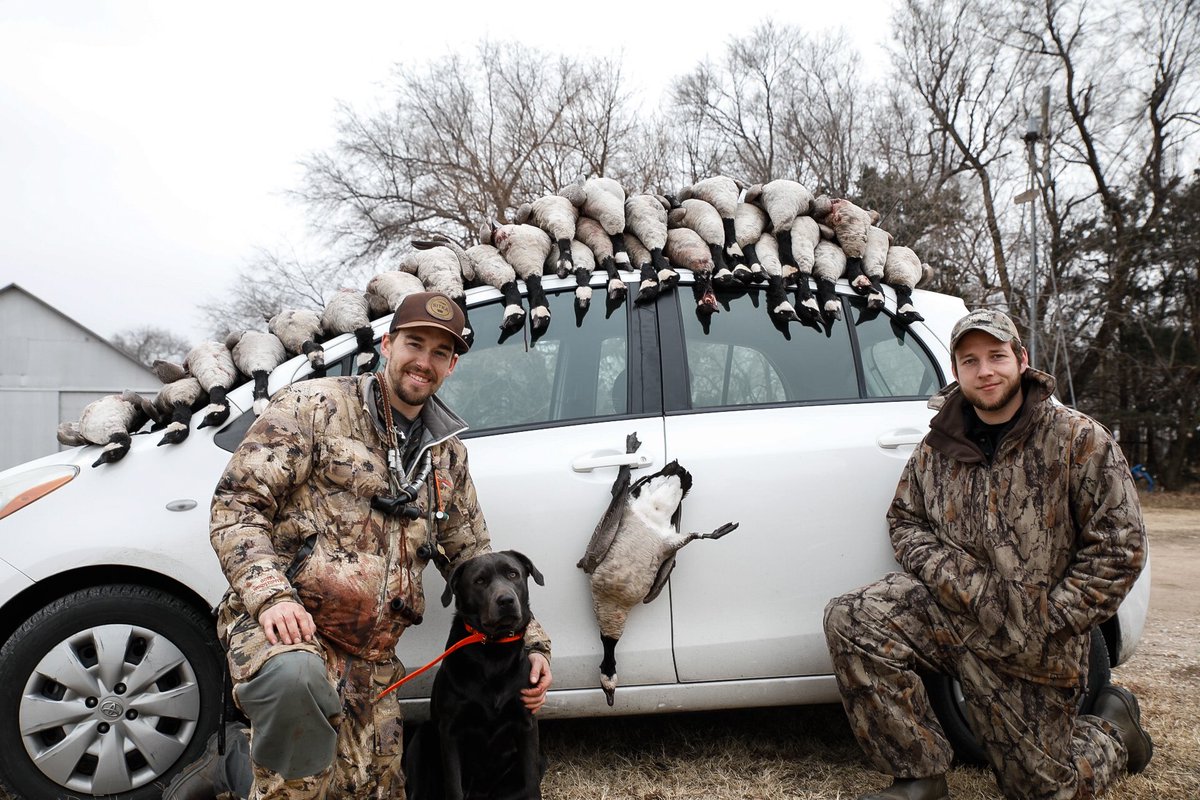 Ballin on a budget means driving the goose getter.