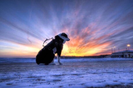 ChopperFach tweet media