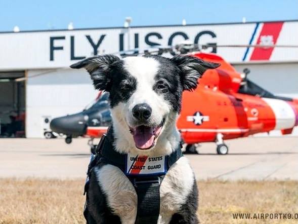 ChopperFach tweet media