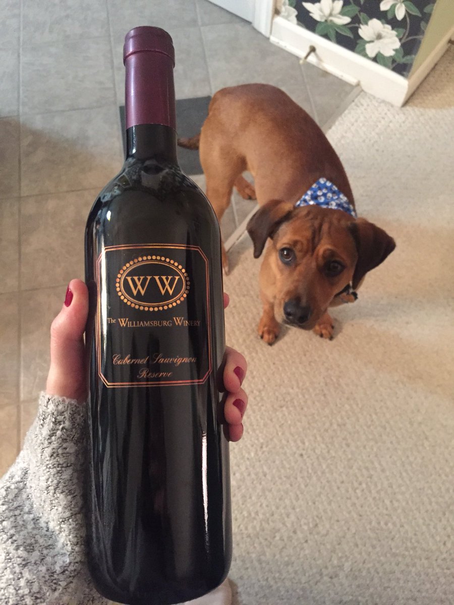 TraceySmithRVA's tweet photo. When your parents wait 20 years to open a bottle of @TheWmbgWinery wine and all they have to show for it is a wasted bottle of wine. #lessonlearned #drinkitfast https://t.co/XoZXPaqUnK