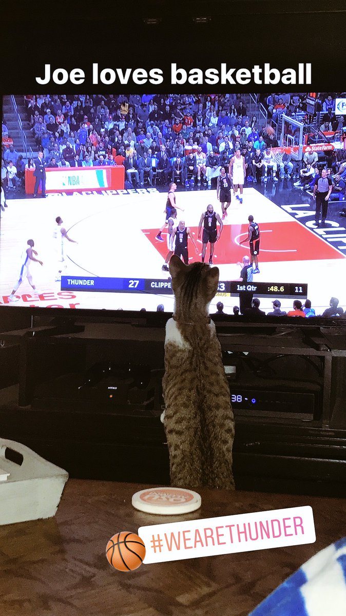 maddie_fowler_'s tweet photo. Even the kitten is a thunder fan #wearethunder 🏀@mase_RMF https://t.co/xF11zvLE8a