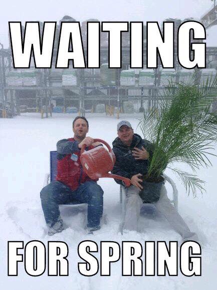 Monicamwelter's tweet image. Clearly, my team is not excited about the snow...or are they? #snowfun #springsoon #WinterStormGrayson #bombogenesis #myasmsarebetterthanyours @ChanteValentin4 @baylen_hanato @McaleeseSteve