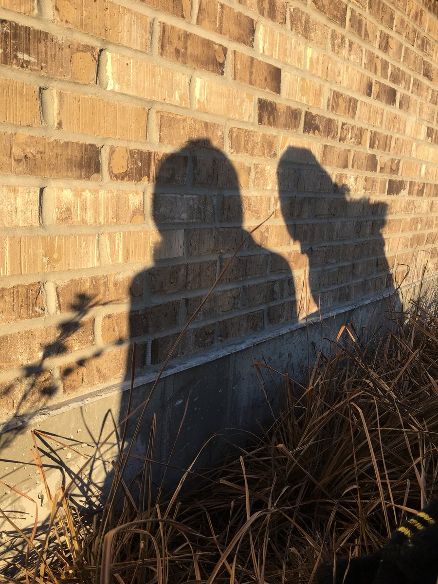 StoryUpStudios's tweet photo. Seeing our shadow from our #googlejump hidey hole. 3 more months of winter. @lindseymil @SarahRedohl https://t.co/HLvHdGI7wq