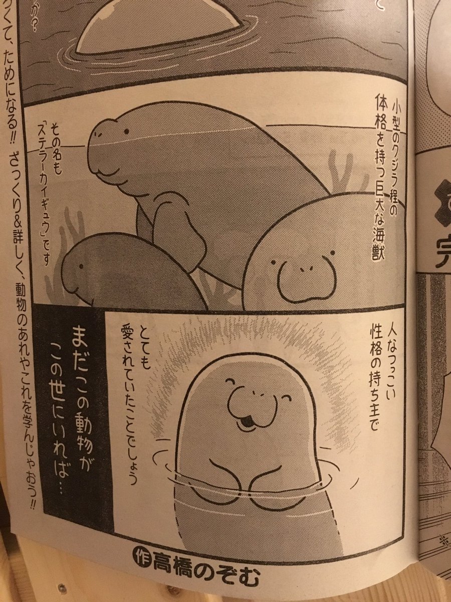 【告知】
好評発売中のまんがくらぶ2月号に
まんがでわかる動物講座載ってます
今回は「ステラーカイギュウ」です
皆さんも是非、見つけ次第お買い求めください 