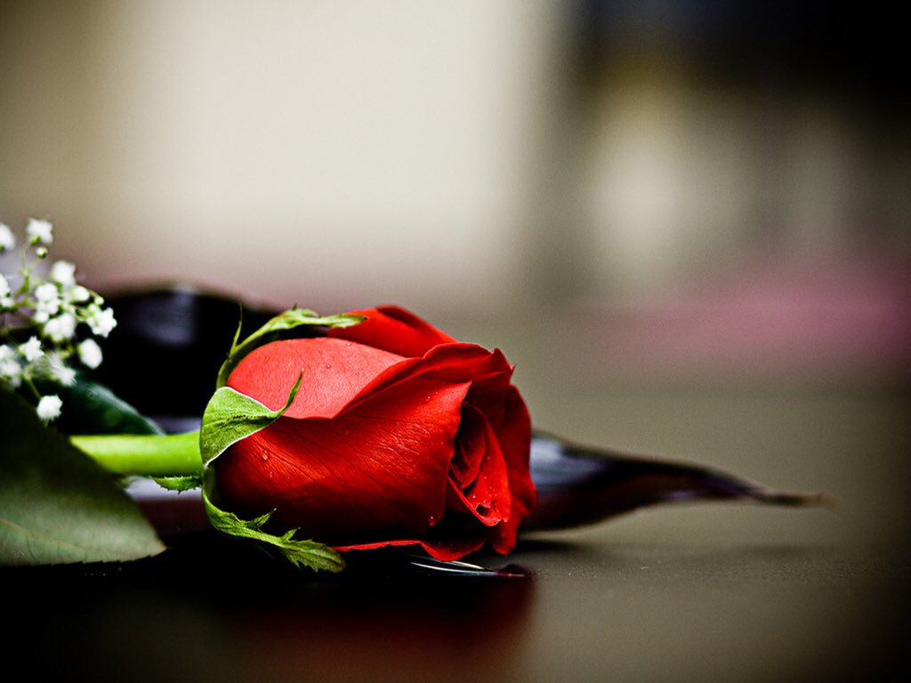 vivin ristituta (@vivinristituta) on Twitter photo <a href="/shamaelmughal/">shamaelmugal</a> @kazurin4428 <a href="/Sylpete/">💗Sylpete 🌹</a> <a href="/zerok_z/">Asi ♡</a> <a href="/walentgrig/">Walentina</a> @cko_mx <a href="/roads2/">Susan Nelson</a> <a href="/ShehanHolly47/">Holly Shehan</a> <a href="/sushilpershad/">sushil ??</a> @Xfiles_Man @Lechatgriffe_fi <a href="/skp__2016/">SKP</a> @cc_chicco <a href="/Lorebl034/">Lorebl03</a> @CreativeTanja <a href="/lana_liss/">Лана Лисс</a> <a href="/90ktt/">✨Natalee Ljubecka✨</a> <a href="/sjmalik123/">Sandeep Malik</a> <a href="/zahoorahmed553/">zahoor ahmed</a> @sadkberki <a href="/kimukimukimu81/">みかみ🐩</a> <a href="/daniel_2509/">🌹ЗС🌹</a> <a href="/monicasloves/">Monica Cates</a> <a href="/raoufezat1/">Dr..Raouf.EZzat</a> @Chandra1Vinod <a href="/mujahidgrw/">mujahidgrw</a> <a href="/mE6S9FUXDkP4Ov7/">HI-cyan</a> <a href="/fahd_elnesr/">Fahd Elnesr</a> @shailjohn7 @pilot_svb <a href="/Salvado96043056/">Salvador Jorge</a> @RosanaFava <a href="/shabasarah/">EL'Sãräh</a> <a href="/Silviadomi22G/">♕Lady in Red ❤</a> <a href="/SabrinaNeo0302/">S. N.</a> <a href="/AmalaiaLapaglia/">a</a> @0226baba @bcavalli3333 <a href="/PtrSerg/">Sergey Petrovich</a> <a href="/shizu__/">shizu</a> <a href="/schettanya/">Татьяна Щетинина</a> <a href="/SrgPtr/">Сергей Петрович</a> <a href="/lilo623/">Linda Marie Lovison</a> <a href="/sminaev2015/">Sergey Minaev</a> <a href="/Listev1/">Listev</a> <a href="/semljnika/">Daria ❄</a> <a href="/sergey_silkin/">Sergey Silkin</a> <a href="/BluesignV/">Blue sign</a> <a href="/Quinnqueens/">Quinn 💛(G.Quinn Rogers)</a> <a href="/AndyWhite1234/">Andy White</a> <a href="/shamaelmughal/">shamaelmugal</a> @kazurin4428 <a href="/Sylpete/">💗Sylpete 🌹</a> <a href="/zerok_z/">Asi ♡</a> <a href="/walentgrig/">Walentina</a> @cko_mx <a href="/roads2/">Susan Nelson</a> <a href="/ShehanHolly47/">Holly Shehan</a> <a href="/sushilpershad/">sushil ??</a> @Xfiles_Man @Lechatgriffe_fi <a href="/skp__2016/">SKP</a> @cc_chicco <a href="/Lorebl034/">Lorebl03</a> @CreativeTanja <a href="/lana_liss/">Лана Лисс</a> <a href="/90ktt/">✨Natalee Ljubecka✨</a> <a href="/sjmalik123/">Sandeep Malik</a> <a href="/zahoorahmed553/">zahoor ahmed</a> @sadkberki <a href="/kimukimukimu81/">みかみ🐩</a> <a href="/daniel_2509/">🌹ЗС🌹</a> <a href="/monicasloves/">Monica Cates</a> <a href="/raoufezat1/">Dr..Raouf.EZzat</a> @Chandra1Vinod <a href="/mujahidgrw/">mujahidgrw</a> <a href="/mE6S9FUXDkP4Ov7/">HI-cyan</a> <a href="/fahd_elnesr/">Fahd Elnesr</a> @shailjohn7 @pilot_svb <a href="/Salvado96043056/">Salvador Jorge</a> @RosanaFava <a href="/shabasarah/">EL'Sãräh</a> <a href="/Silviadomi22G/">♕Lady in Red ❤</a> <a href="/SabrinaNeo0302/">S. N.</a> <a href="/AmalaiaLapaglia/">a</a> @0226baba @bcavalli3333 <a href="/PtrSerg/">Sergey Petrovich</a> <a href="/shizu__/">shizu</a> <a href="/schettanya/">Татьяна Щетинина</a> <a href="/SrgPtr/">Сергей Петрович</a> <a href="/lilo623/">Linda Marie Lovison</a> <a href="/sminaev2015/">Sergey Minaev</a> <a href="/Listev1/">Listev</a> <a href="/semljnika/">Daria ❄</a> <a href="/sergey_silkin/">Sergey Silkin</a> <a href="/BluesignV/">Blue sign</a> <a href="/Quinnqueens/">Quinn 💛(G.Quinn Rogers)</a> <a href="/AndyWhite1234/">Andy White</a>