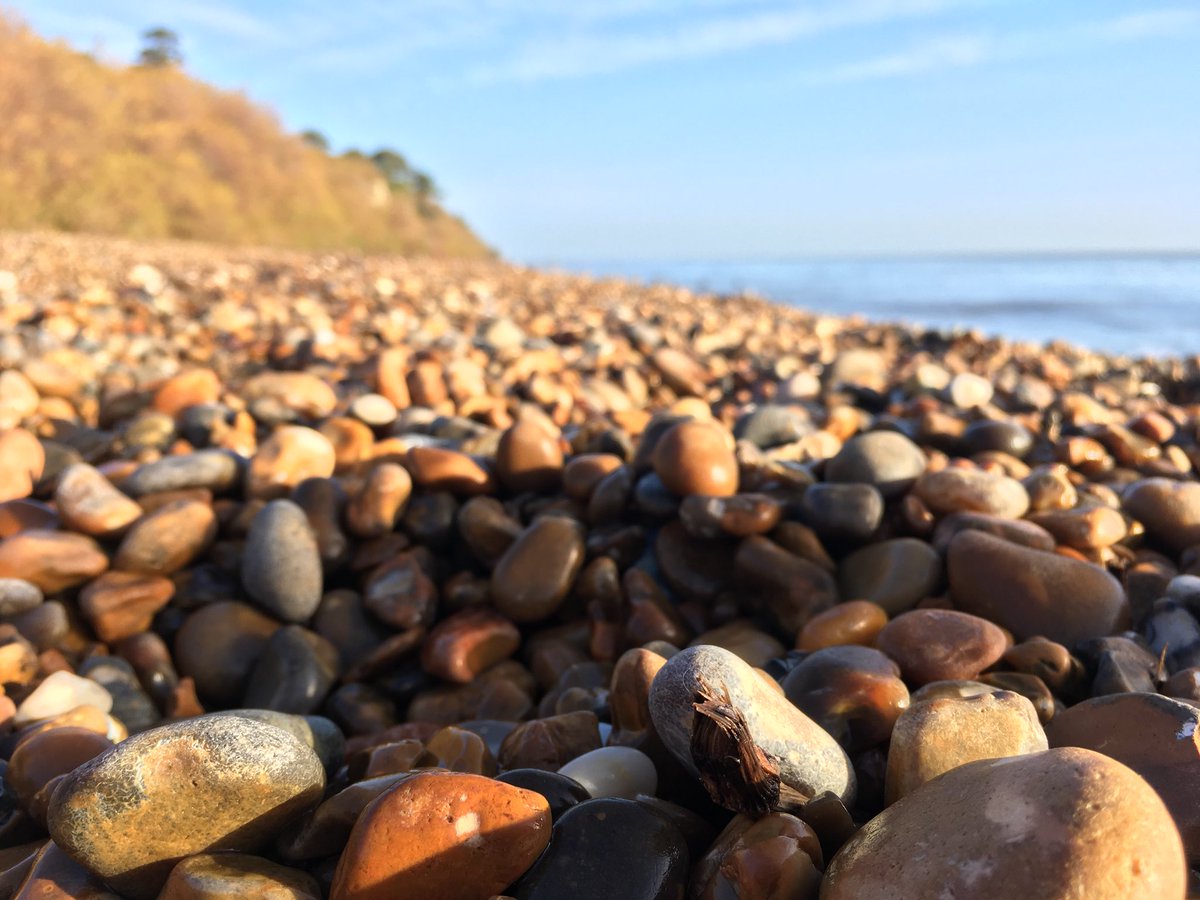 BeachBonkersHQ's tweet photo. Just sometimes you find beautiful things on the beach. Not just #plastic litter. #Bawdsey #beachcombing. #seafir #seaweed #holdfast #Suffolk #shingle https://t.co/peeMxn1zPp