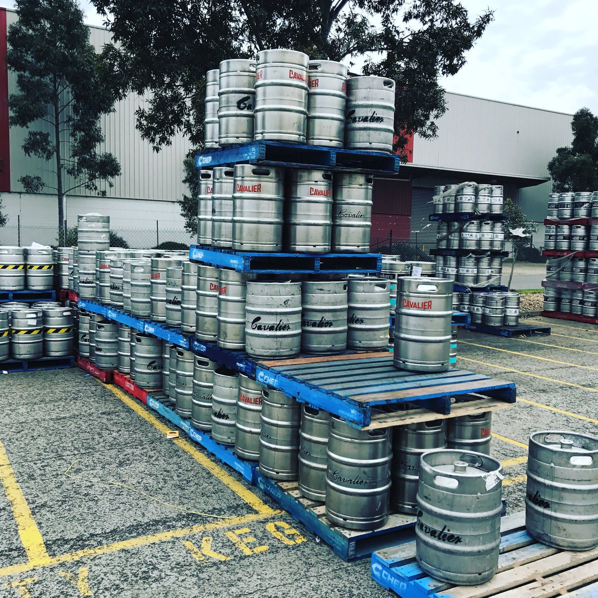Cavalier Brewing (@cavalierbrewing) on Twitter photo We’ve got loads of empties to collect so we can put more delicious beer in to them. If you have any Cav kegs that need collecting please email info@cavalierbeer.com.au and we’ll get them out of your way. Cheers! We’ve got loads of empties to collect so we can put more delicious beer in to them. If you have any Cav kegs that need collecting please email info@cavalierbeer.com.au and we’ll get them out of your way. Cheers!