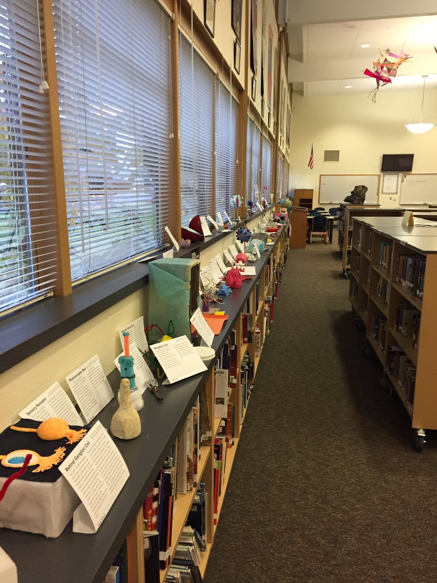 ChallengePV's tweet photo. My students' traveling cell museum exhibit spent 2 weeks at Liberty Middle School and is on its way to Skyridge, our other middle school! https://t.co/b9qIEtYreT